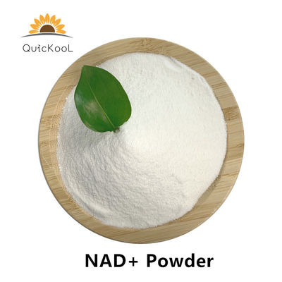 quality CAS 53-84-9 ベータ NAD 粉 NAD+ ニコチナミド アデニン ディヌクレオチド factory